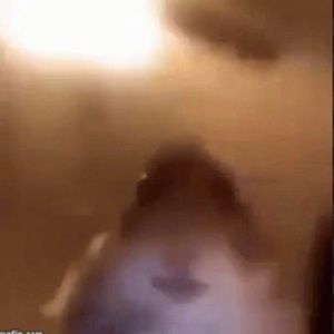 Meet your Posher, Audrey